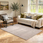3x5 Oatmeal/White Area Rug Washable Non-Slip Soft Thin by Unknown