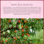 Tealeaf & Co. Peach Ginger Tea Blended with Organic Spices - Organic Black Tea Bags with Ginger & Peach Flavor - Flavored Blend with Low Caffeine - Gluten Free - 50 Teabags