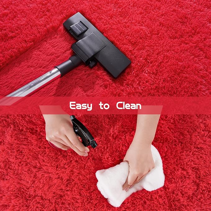 Pionblank Fluffy Small Rug for Bedroom 2x3 Feet, Shag Soft Area Rug, Furry Cute - Image 4