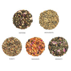 Tea Forte Wellness Tea Assortment Single Steeps Loose Leaf Premium Tea Gift Set Sampler, 15 Count 3 of Each Assorted Blends, Pre-Portioned Single Serve Pouches, Steeps 12 oz