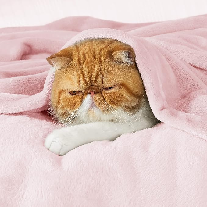Bedsure GentleSoft Fleece Blanket Twin Size Pink - Image 2