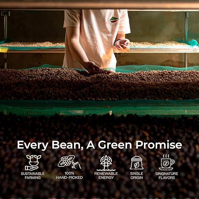 Conihat Whole Bean Coffee - 100% Vietnamese Premium Arabica, Dark Roast, Chocolate & Fruity Notes, Sweet Finish, Low Acid, Single Origin, Hand-Picked, 16 Oz Bag