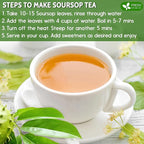 FreshDrinkUS, Premium 275+ Soursop Graviola Whole Dried Leaves Tea, 275-300 Soursop Graviola Guanabana Whole Leaves, Wildcrafted, Hoja Guanabana Loose Leaf Herbal Tea, No Gluten, Vegan
