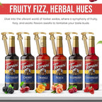 Jimoco Syrup Pump & Torani Syrup Bundle - Fruit Bowl Syrup 6 Pack Summer Flavors, Raspberry, Strawberry, Blackberry, Cherry, Orange and Peach - For Italian Soda Coffee, Lattes, Frappes With 6 Pump Dispensers