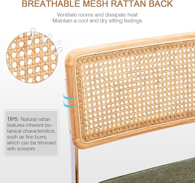 Zesthouse Natural Rattan Dining Chairs Set of 6, Mid Century Modern Dining - Image 3