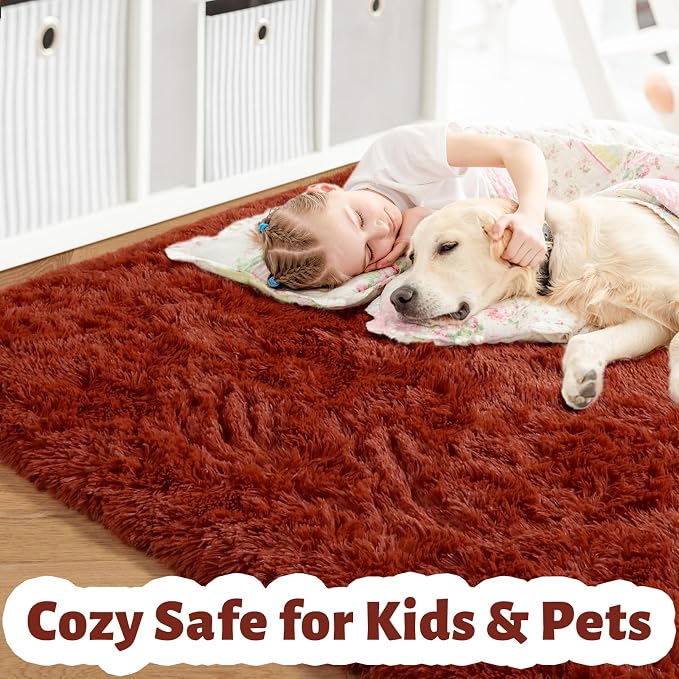 Amdrebio Terracotta Rust Shag Area Rug 5x8 - Image 2