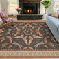 5x8 Brown Rugs for Living Room, Soft Boho Rugs for Bedroom, Non Slip Dining by HazoHaus