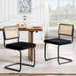 Zesthouse Natural Rattan Dining Chairs Set of 2, Modern Dining Room Chairs by Zesthouse