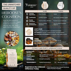 Lifeboost French Vanilla Cognition Mushroom Coffee - Low Acid Medium Organic Coffee with Nootropic Lions Mane & Chaga Mushrooms - Increase Energy, Boost Focus & Immune Support - 12 oz Bag - Ground