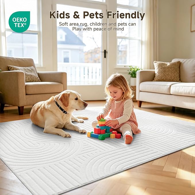 Pauwer 5x7 Area Rugs for Living Room, Modern Non Slip Washable Rug, Soft Fluffy - Image 7