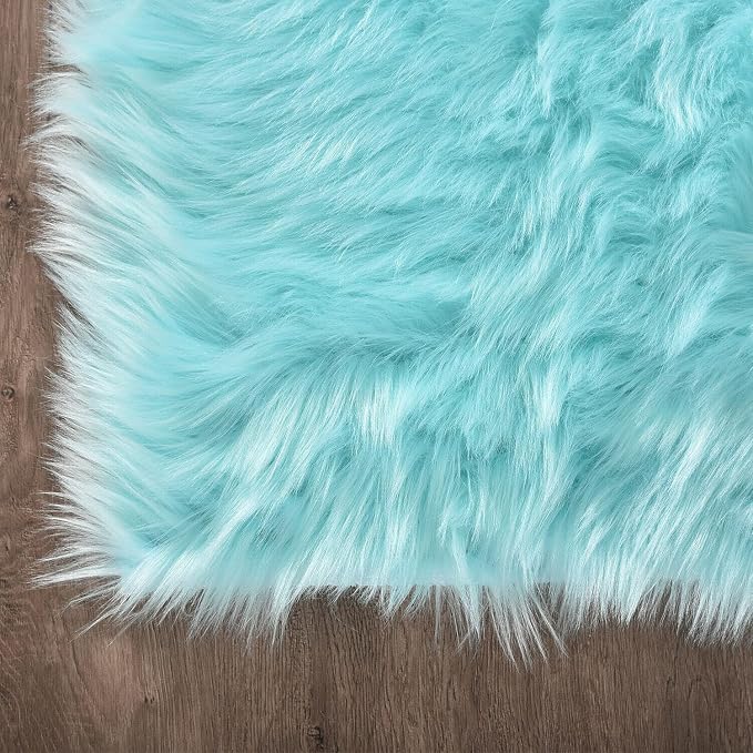Latepis Light Blue Area Rug 6x9 Faux Fur Teal Rugs - Image 5