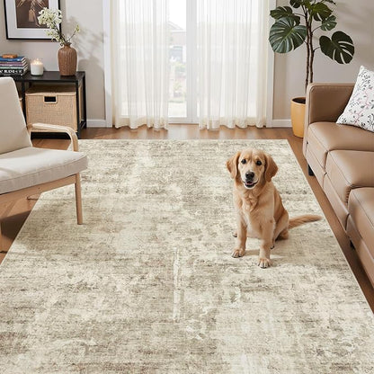 Soalmost Abstract 3x5 Rugs, Small Kitchen Entryway Area Rug Beige/Gray | - Image 2