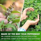 FreshDrinkUS, Premium Tulsi Peppermint Herbal Tea – 135 Tea Bags, 100% Natural, Blend of Tulsi Holy Basil Leaves, and Peppermint Leaves. Made with Natural Material Tea Bags. No Sugar, Vegan.