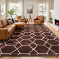 6x9 Area Rugs for Living Room Bedroom, Fluffy Brown and White Geometric Rug | by ONASAR