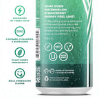 Yerbaé Energy Seltzer & Beverage Bundle - 16oz & 12oz Variety 24-Pack, 0 Sugar, 0 Calories, 0 Carbs, Energized by Yerba Mate & Plant-Based