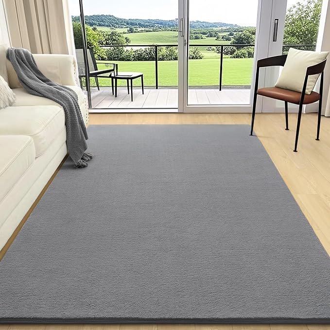 4x6 Area Rugs for Living Room Non Slip Dorm Bedroom Rug, Minimalist Washable by AROGANAREARUG