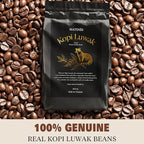 MATINÉE Wild Kopi Luwak Coffee Beans, Medium Roast, Whole Bean Beans, Civet Coffee - Sustainably Sourced From Vietnam, 8.8oz / 250 Grams