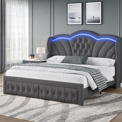 Keyluv Queen Bed Frame with LED Lights and 2 Storage Drawers, Velvet by KeyluvHome