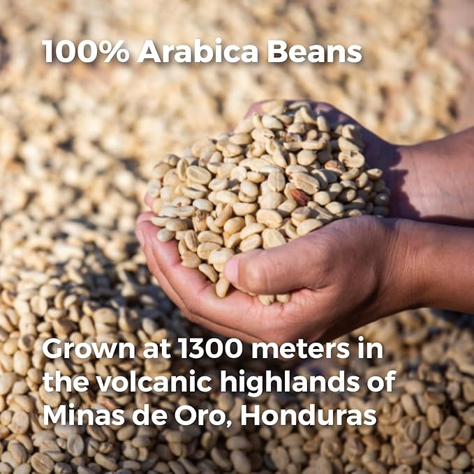 Don Memo Medium Roast Ground Coffee 12 oz – Single-Origin Honduran Arabica, Small Batch, Smooth & Balanced