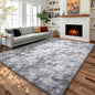 Light Grey Shaggy Abstract Area Rug 6x9 Feet, Plush Fluffy Rugs by PAGISOFE