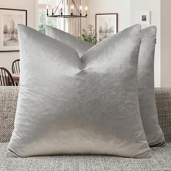 GIGIZAZA Silver Grey Velvet Throw Pillow Covers 22x22 Pack of 2 | Decorative by GIGIZAZAFocusingonhomedecoration