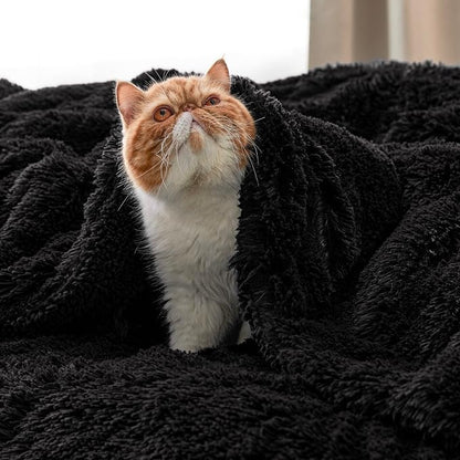 Bedsure GentleSoft Fluffy Black Throw Blanket Gifts - Image 8