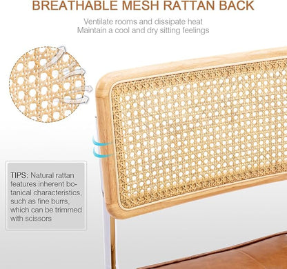 Zesthouse Natural Rattan Dining Chairs Set of 6, Modern Dining Room Chairs - Image 4