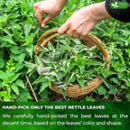FreshDrinkUS, 30 Nettle Leaf Tea Bags, 100% Natural & Pure from Nettle Leaves. Loose Leaf Nettle Herbal Tea. Nettle Leaf Tea. No Sugar, No Caffeine, No Gluten, Vegan.