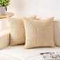 Aegero Pack of 2 Corduroy Decorative Throw Pillow Covers 16x16 Inch by Unknown