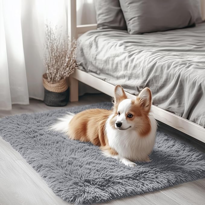 OLANLY 2x2 Machine Washable Small Rug, Soft Fluffy Shaggy Throw Rug by OLANLY