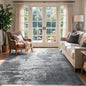 5x7 Ft Area Rugs for Living Room, Soft Non-Slip Washable Rugs Modern Abstract by Cuzwlovita