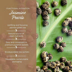 The Tea Spot Jasmine Pearls Green Tea | High-grade Jasmine infused Green Tea Pearls from Fujian | 15 Tea Bags