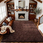 4x6 Ft Brown Shag Rugs for Bedroom Living Room, Ultra Soft Fluffy Furry Area by Cuzwlovita