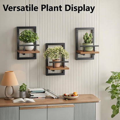 Sbosbo Floating Shelves for Wall, Plant Shelf Indoor, Wall Planters for Indoor - Image 4