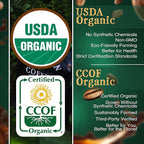 The Bean Organic Coffee Company Chocolate Macadamia Nut, Medium Roast, Whole Bean Coffee, 16-Ounce Bags (Pack of 2)