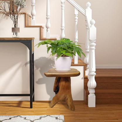 Brefhome 18.9" Tall Cedar Tree Stump Stool, Natural Wood Side Table, - Image 5