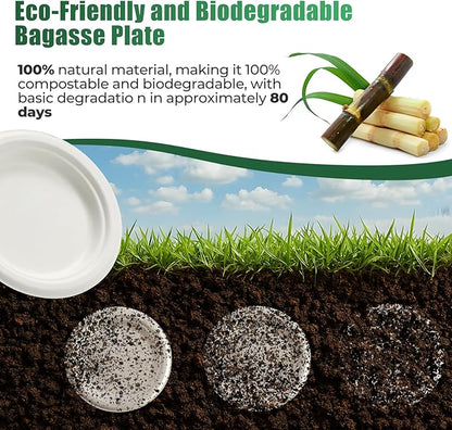 250 Pcs Biodegradable Paper Plates Set Disposable Dinnerware Set, Eco Friendly Compostable (EXTRA LONG UTENSILS), Utensil include, Forks, Knives and Spoons for Party andBirthday party, camping