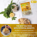 FRESHDRINKUS, Premium - Natural Sea Moss, Make 42oz of Gel, Goldne Raw Sea Moss Dried, 100% Natural & Pure, Wildcrafted, Sundried, Caffeine Free, Sugar Free, Gluten Free, Vegan, Mineral Rich