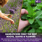 FreshDrinkUS, Premium 55 Tea Bags Lavender Mint Tea, 100% Natural, Blend of Lavender, Peppermint, Sage and Licorice. Made with Natural Material Tea Bags. No Sugar, No Caffeine, Vegan.