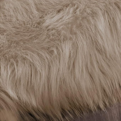 Latepis 2x3 Brown Beige Small Faux Fur Rug Fluffy Furry Rugs Throw Rug Washable - Image 7
