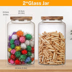 Vacuum Coffee Canister Glass Food Storage Jars With Airtight Lids Borosilicate Glass Coffee Canister Container for Coffee Beans & Grounds Tea Sugar Spices Kitchen (94oz(2800ml)-B-2pack)