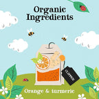 Clipper Tea, Orange & Turmeric, Organic Tea with Licorice Root, Orange Peel and Hibiscus, Plant Based Herbal Tea, Caffeine Free British Tea, 6 Pack, 120 Unbleached Tea Bags