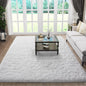 Ophanie 5x8 White Rugs for Living Room, Fluffy Fuzzy Plush Soft Carpets by Ophanie