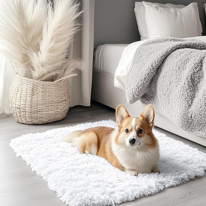 OLANLY 2x2 Machine Washable Small Rug, Soft Fluffy Shaggy Throw Rug by OLANLY