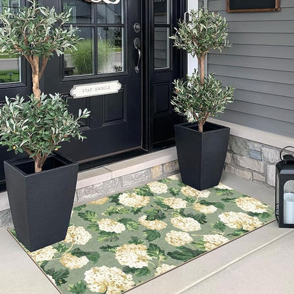 Front Door Mat Indoor Entrance - Image 3