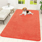 OLANLY Dog Door Mat for Muddy Paws 70x46, Super Absorbent Chenille Mud Mat | by OLANLY