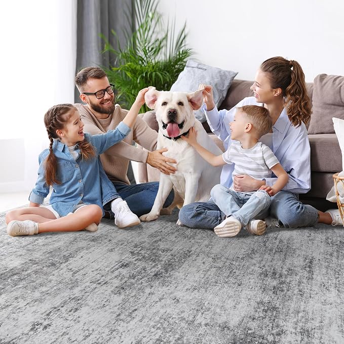 Aelenmu 6x9 Area Rugs for Living Room Bedroom Dining Room Washable Grey | Soft - Image 8