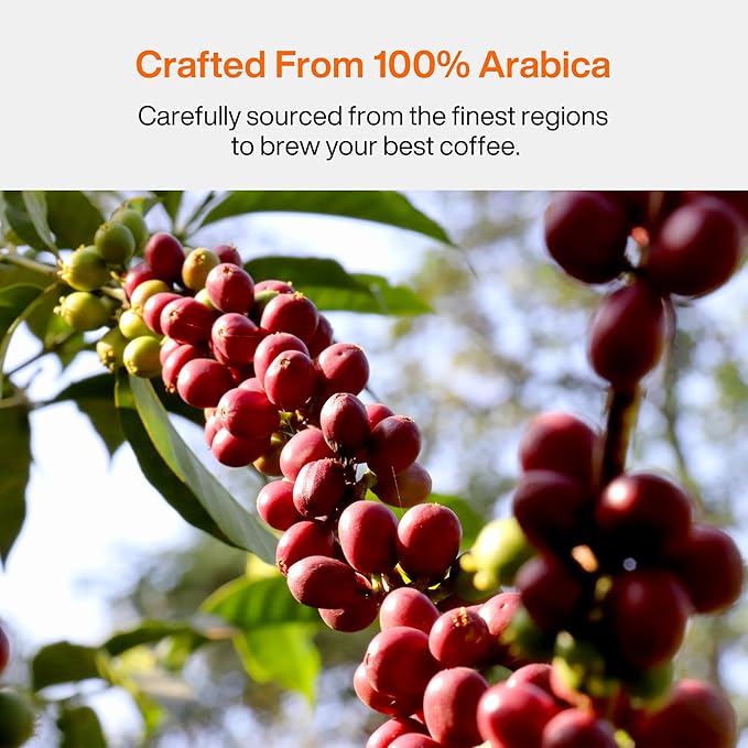 SATURNBIRD Coffee Instant Cold Brew - Light, Medium Roast Variety Pack, 3 Roast Levels (NO.1-3), 100% Arabica, Enjoy Cold/Hot, 24 Single Serves Perfect for Iced Coffee