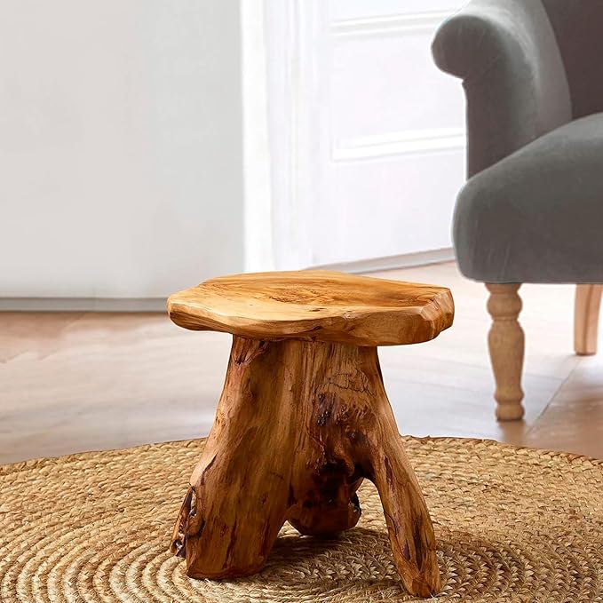 Greenage Cedar Roots Mushroom Accent Stool 12" x 15" x 13.5" Height Natural - Image 5