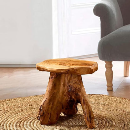 Greenage Cedar Roots Mushroom Accent Stool 12" x 15" x 13.5" Height Natural - Image 5